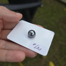 Load image into Gallery viewer, Fiji Loose Saltwater Pearl with Grade Certificate #4188 - FJD$
