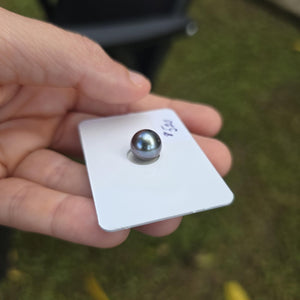 Fiji Loose Saltwater Pearl with Grade Certificate #4188 - FJD$