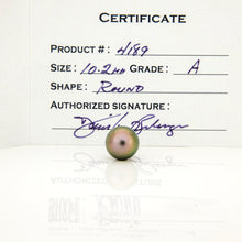Load image into Gallery viewer, READY TO SHIP Civa Fiji Saltwater Graded Pearl Hoop Earrings - 925 Sterling Silver FJD$
