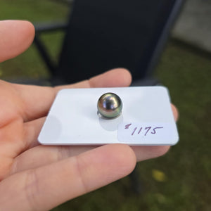 Fiji Loose Saltwater Pearl with Grade Certificate #4189 - FJD$