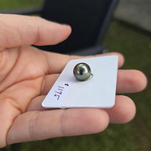 Fiji Loose Saltwater Pearl with Grade Certificate #4189 - FJD$