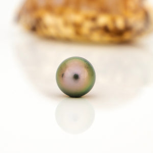 READY TO SHIP Civa Fiji Saltwater Graded Pearl Hoop Earrings - 925 Sterling Silver FJD$