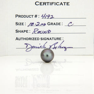 Fiji Loose Saltwater Pearl with Grade Certificate #4192 - FJD$