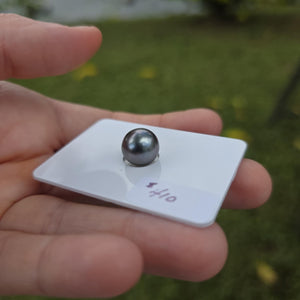 Fiji Loose Saltwater Pearl with Grade Certificate #4192 - FJD$