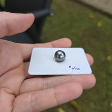 Load image into Gallery viewer, Fiji Loose Saltwater Pearl with Grade Certificate #4192 - FJD$
