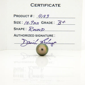 Fiji Loose Saltwater Pearl with Grade Certificate #4193 - FJD$