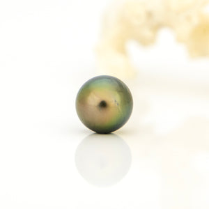 Fiji Loose Saltwater Pearl with Grade Certificate #4193 - FJD$