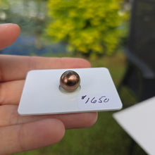 Load image into Gallery viewer, Fiji Loose Saltwater Pearl with Grade Certificate #4194 - FJD$
