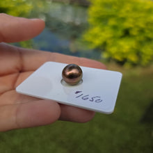Load image into Gallery viewer, Fiji Loose Saltwater Pearl with Grade Certificate #4194 - FJD$
