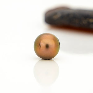 Fiji Loose Saltwater Pearl with Grade Certificate #4194 - FJD$