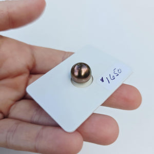 Fiji Loose Saltwater Pearl with Grade Certificate #4194 - FJD$