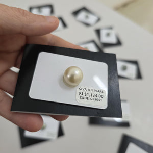 Fiji Loose Saltwater Pearl with Grade Certificate #5051 - FJD$
