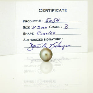 Fiji Loose Saltwater Pearl with Grade Certificate #5054 - FJD$