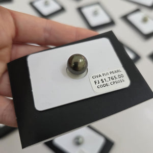 Fiji Loose Saltwater Pearl with Grade Certificate #5055 - FJD$
