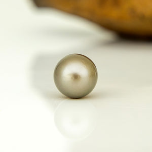 Fiji Loose Saltwater Pearl with Grade Certificate #5058 - FJD$