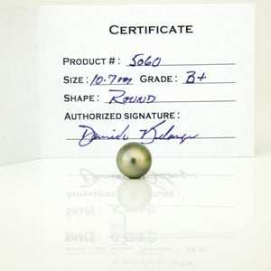 Fiji Loose Saltwater Pearl with Grade Certificate #5060 - FJD$
