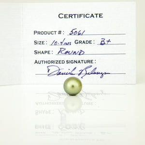 Fiji Loose Saltwater Pearl with Grade Certificate #5061 - FJD$
