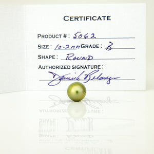 Fiji Loose Saltwater Pearl with Grade Certificate #5062 - FJD$