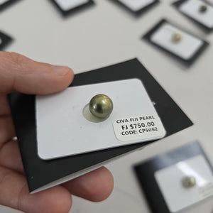 Fiji Loose Saltwater Pearl with Grade Certificate #5062 - FJD$