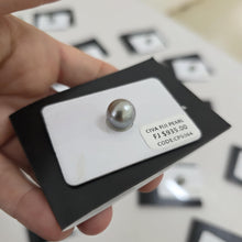 Load image into Gallery viewer, Fiji Loose Saltwater Pearl with Grade Certificate #5064 - FJD$
