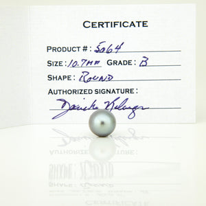 Fiji Loose Saltwater Pearl with Grade Certificate #5064 - FJD$