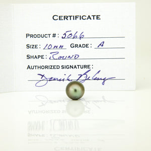 Fiji Loose Saltwater Pearl with Grade Certificate #5066 - FJD$