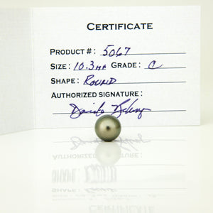 Fiji Loose Saltwater Pearl with Grade Certificate #5067 - FJD$