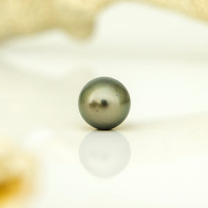 Fiji Loose Saltwater Pearl with Grade Certificate #5067 - FJD$