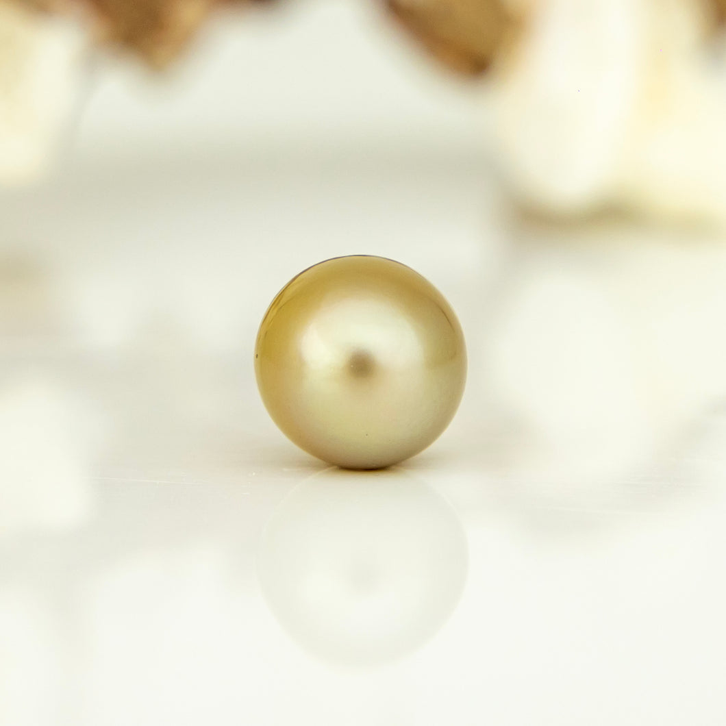 Fiji Loose Saltwater Pearl with Grade Certificate #5069 - FJD$