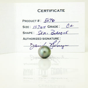 Fiji Loose Saltwater Pearl with Grade Certificate #5070 - FJD$