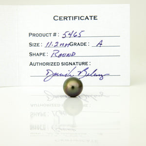 Fiji Loose Saltwater Pearl with Grade Certificate #5465 - FJD$