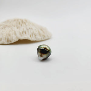 Civa Fiji Saltwater Loose Pearl - FJD$