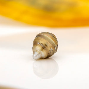 Civa Fiji Saltwater Loose Pearl - FJD$