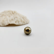 Load image into Gallery viewer, Civa Fiji Saltwater Loose Pearl - FJD$
