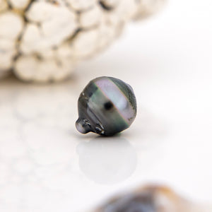 Civa Fiji Saltwater Loose Pearl - FJD$
