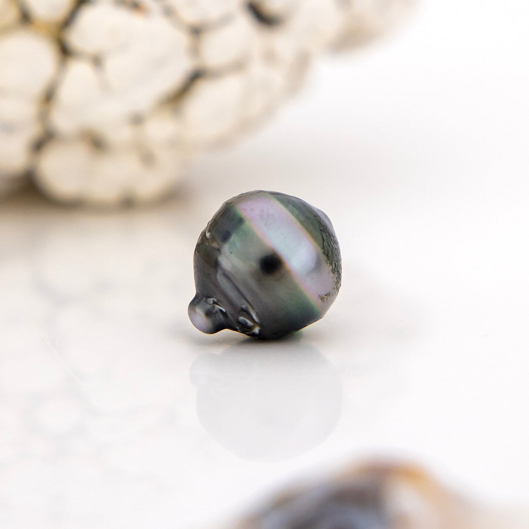 Civa Fiji Saltwater Loose Pearl - FJD$