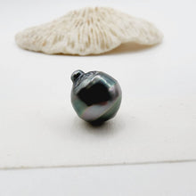 Load image into Gallery viewer, Civa Fiji Saltwater Loose Pearl - FJD$
