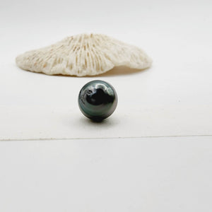 Civa Fiji Saltwater Loose Pearl - FJD$