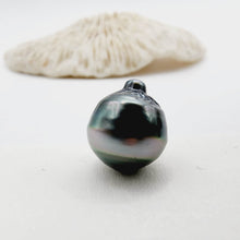 Load image into Gallery viewer, Civa Fiji Saltwater Loose Pearl - FJD$
