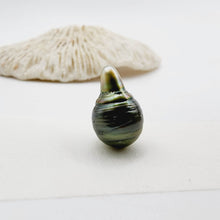 Load image into Gallery viewer, READY TO SHIP Civa Fiji Saltwater Pearl Necklace - 14k Gold Fill FJD$
