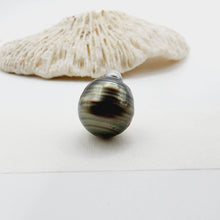 Load image into Gallery viewer, Civa Fiji Saltwater Loose Pearl - FJD$
