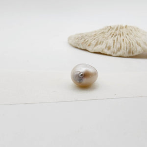 Civa Fiji Loose Keshi Pearl - FJD$