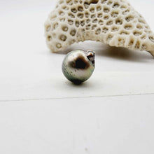 Load image into Gallery viewer, Civa Fiji Loose Pearl - FJD$
