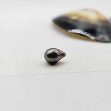 Load image into Gallery viewer, Civa Fiji Loose Pearl - FJD$
