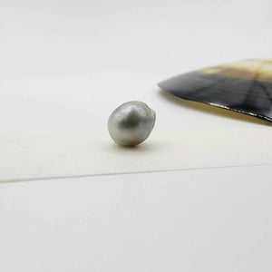 Civa Fiji Loose Pearl - FJD$
