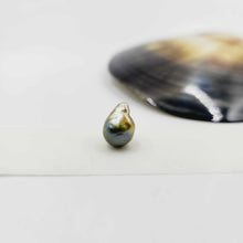 Load image into Gallery viewer, Civa Fiji Loose Pearl - FJD$
