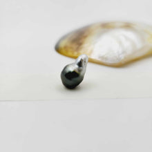 Load image into Gallery viewer, Civa Fiji Loose Pearl - FJD$
