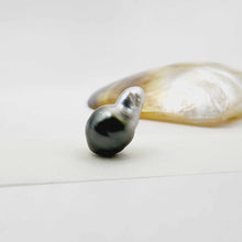 Load image into Gallery viewer, Civa Fiji Loose Pearl - FJD$
