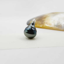 Load image into Gallery viewer, Civa Fiji Loose Pearl - FJD$
