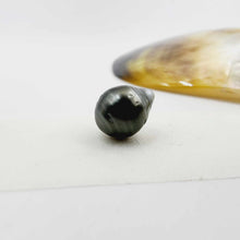 Load image into Gallery viewer, Civa Fiji Loose Pearl - FJD$
